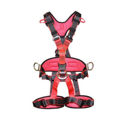 Full Body Harness